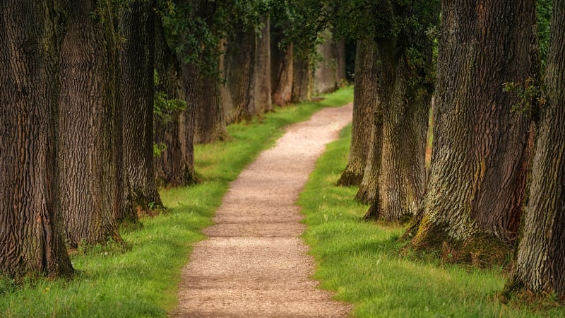 Mindful Hiking